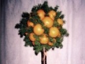 Флористика - композиции из цветов